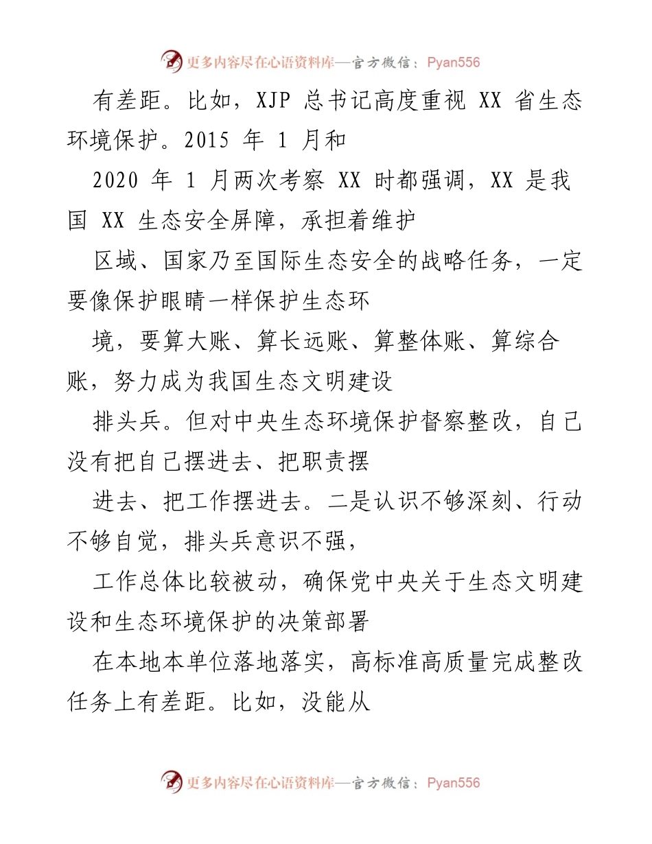 [工作总结] 生态环境保护督察整改专题民主生活会 - 中央生态环境保护督察整改工作存在问题总结.docx_第2页