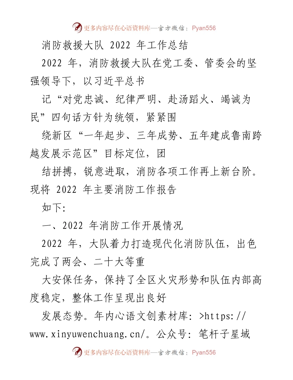 [工作总结] 消防救援大队 - 2022年消防救援大队工作总结与成就报告.docx_第1页