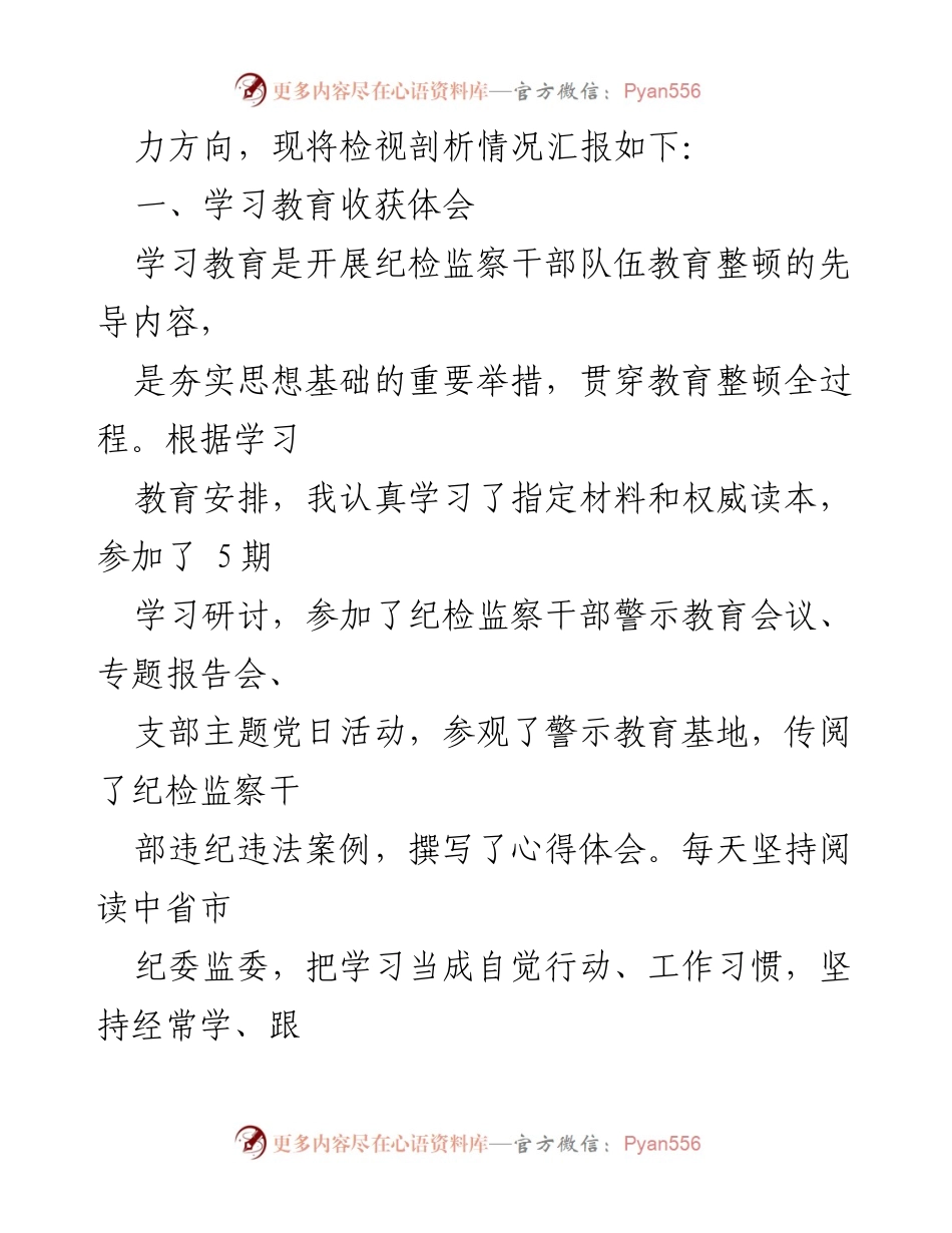 [工作总结] 纪检干部队伍教育整顿 - 纪检干部自查自纠情况汇报.docx_第2页