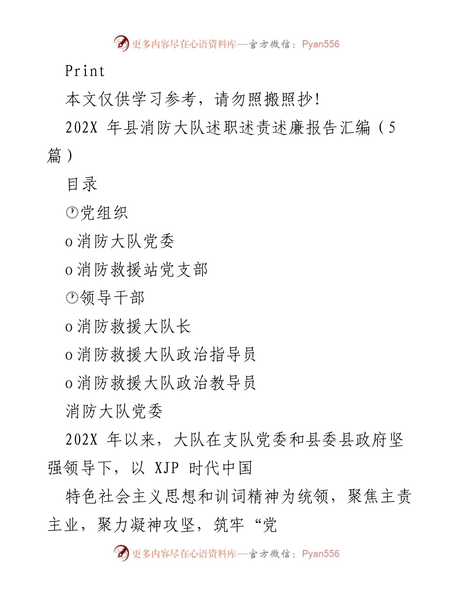 [工作总结] 消防大队年度工作 - 202X年县消防大队述职述责述廉报告总结.docx_第1页