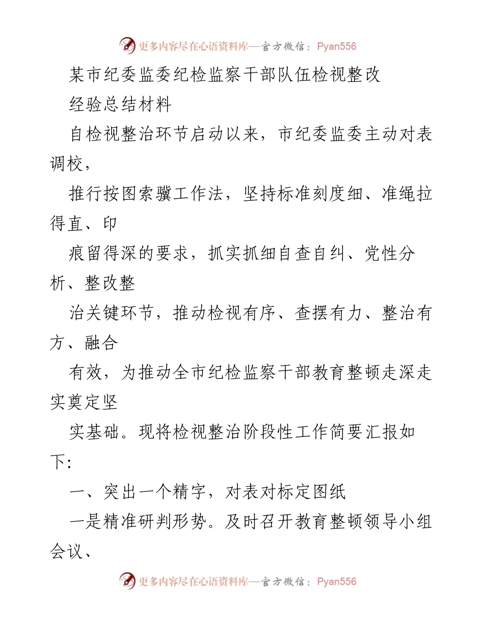 [工作总结] 纪检监察干部教育整顿 - 某市纪委监委检视整改经验总结.docx_第1页