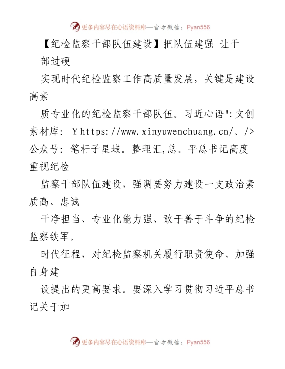 [工作总结] 纪检监察干部队伍建设 - 加强纪检监察干部队伍建设，提升专业化水平.docx_第1页