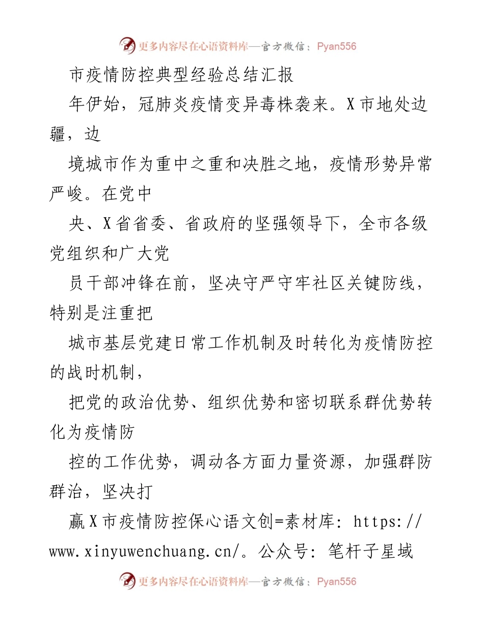 [工作总结] 疫情防控 - X市疫情防控经验总结报告.docx_第1页