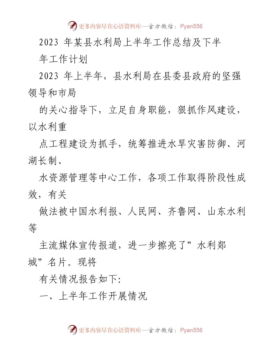 [工作总结] 水利局 - 2023年上半年水利局工作总结及下半年计划.docx_第1页