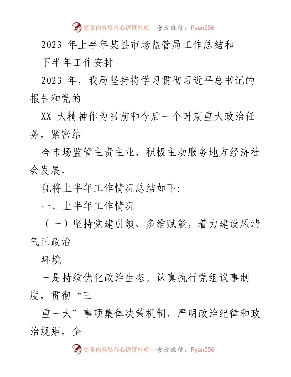 [工作总结] 某县市场监管局 - 2023年上半年工作总结及下半年工作安排.docx_第1页