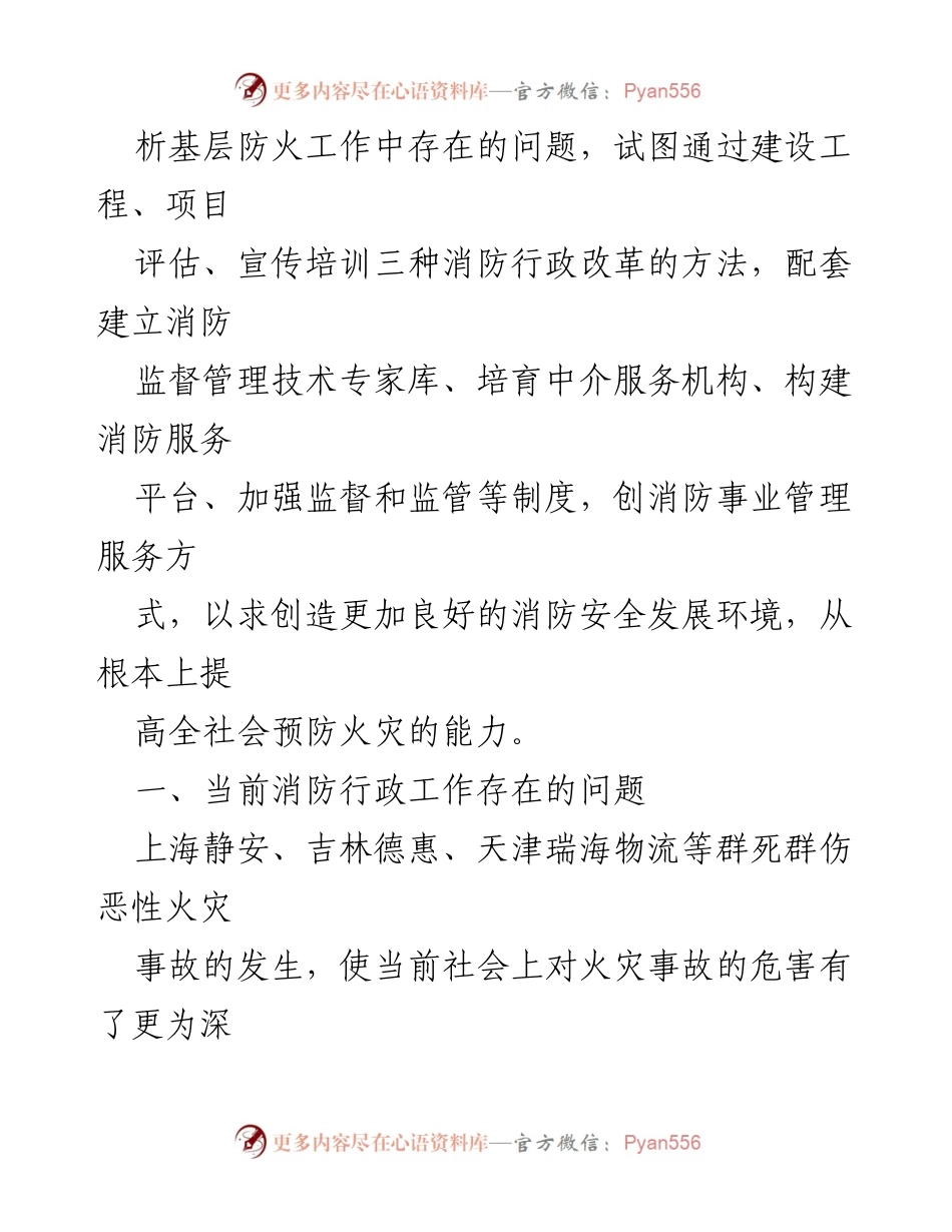 [工作总结] 消防工作改革 - 深化消防行政改革的实践与反思.docx_第2页