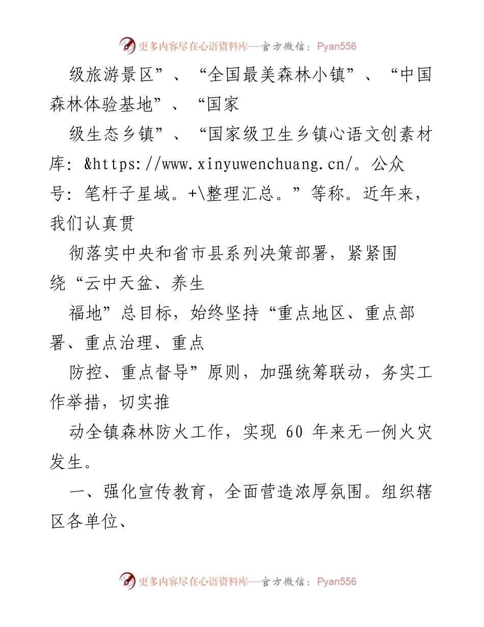 [工作总结] 森林防火工作 - XX镇森林防火工作情况汇报.docx_第2页
