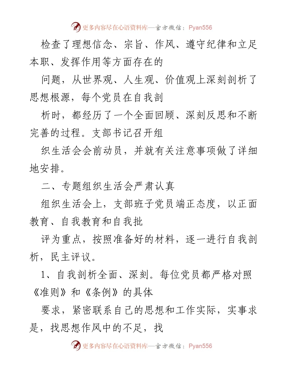 [工作总结] 组织生活会 - 2017年村党支部组织生活会情况报告.docx_第2页