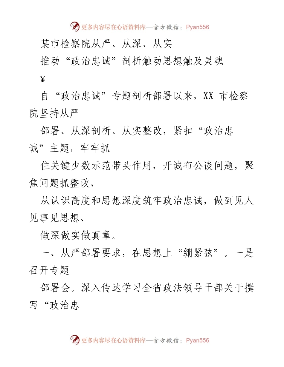 [工作总结] 检察院 - 推动“政治忠诚”剖析的深入实施与整改措施.docx_第1页