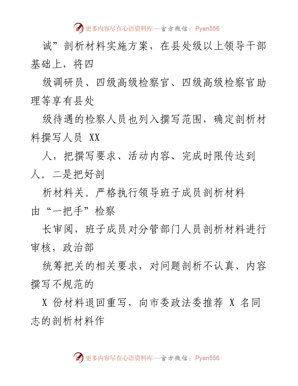 [工作总结] 检察院 - 推动“政治忠诚”剖析的深入实施与整改措施.docx_第2页