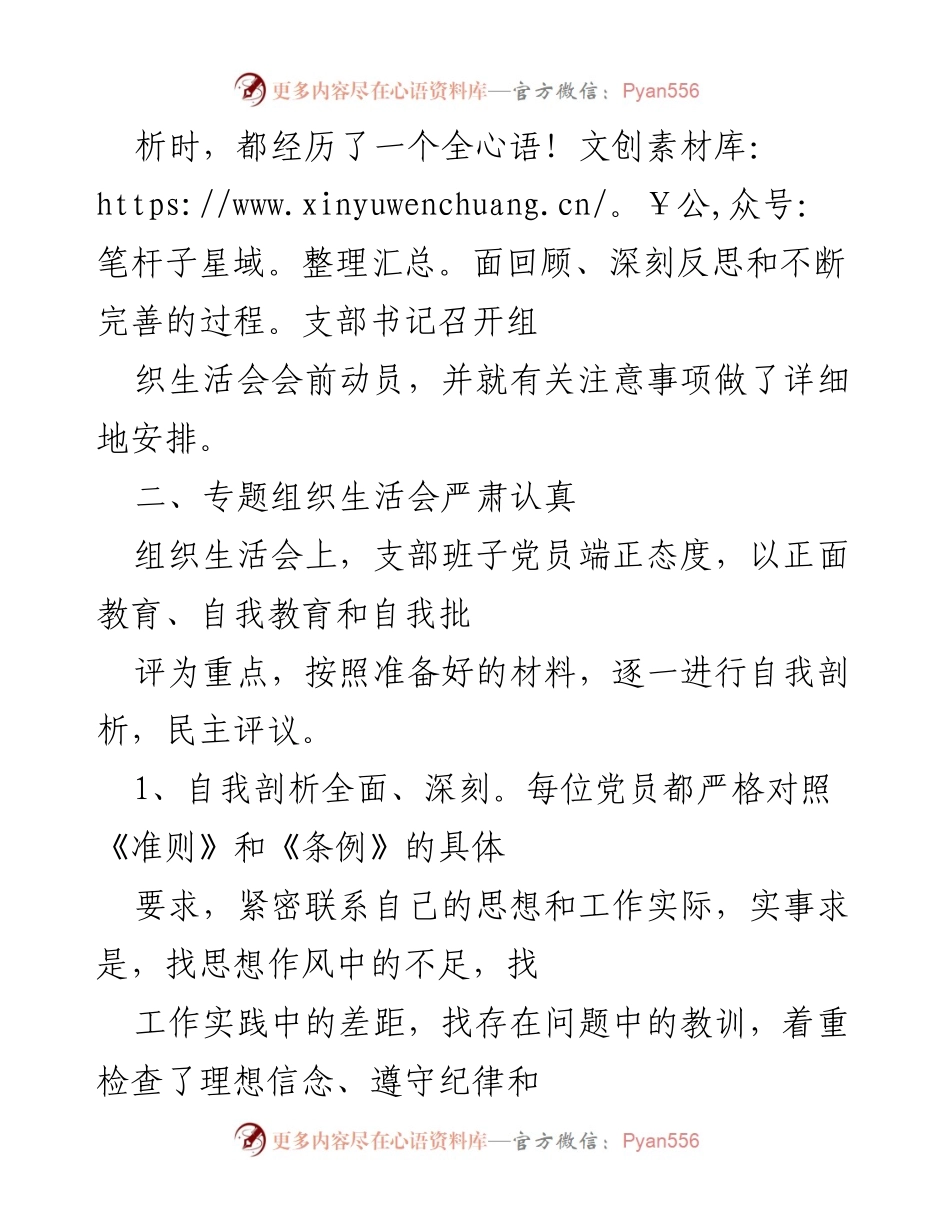 [工作总结] 组织生活会 - 2017年村党支部组织生活会情况汇报.docx_第2页
