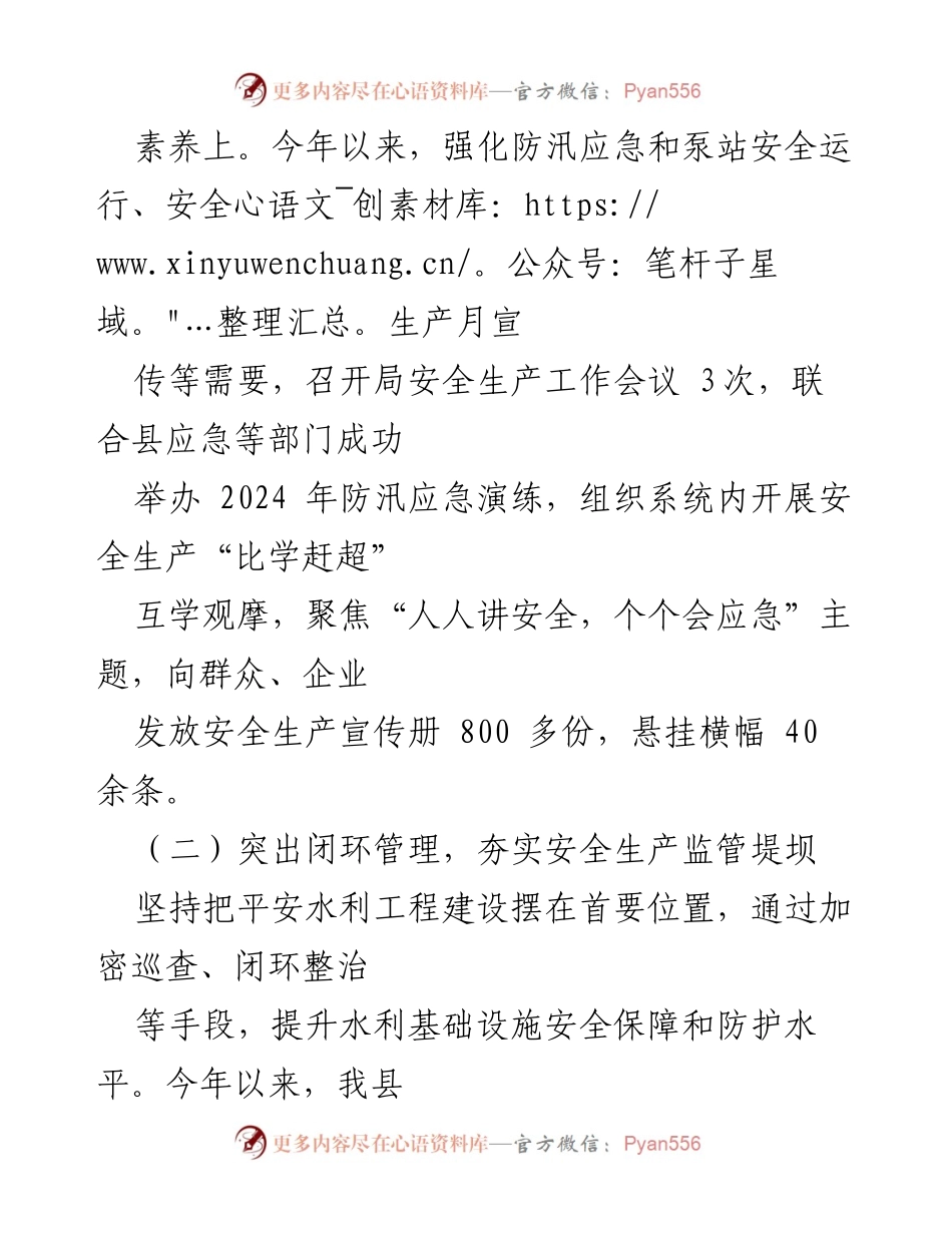 [工作总结] 水利安全生产 - X县水利领域安全生产责任落实情况总结_1.docx_第2页