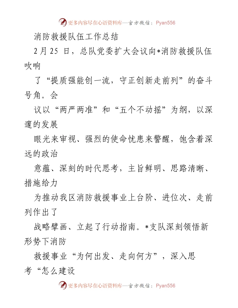 [工作总结] 消防救援队伍 - 提质强能，守正创新：消防救援队伍工作总结.docx_第1页