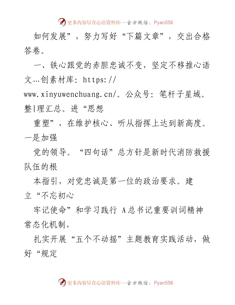 [工作总结] 消防救援队伍 - 提质强能，守正创新：消防救援队伍工作总结.docx_第2页