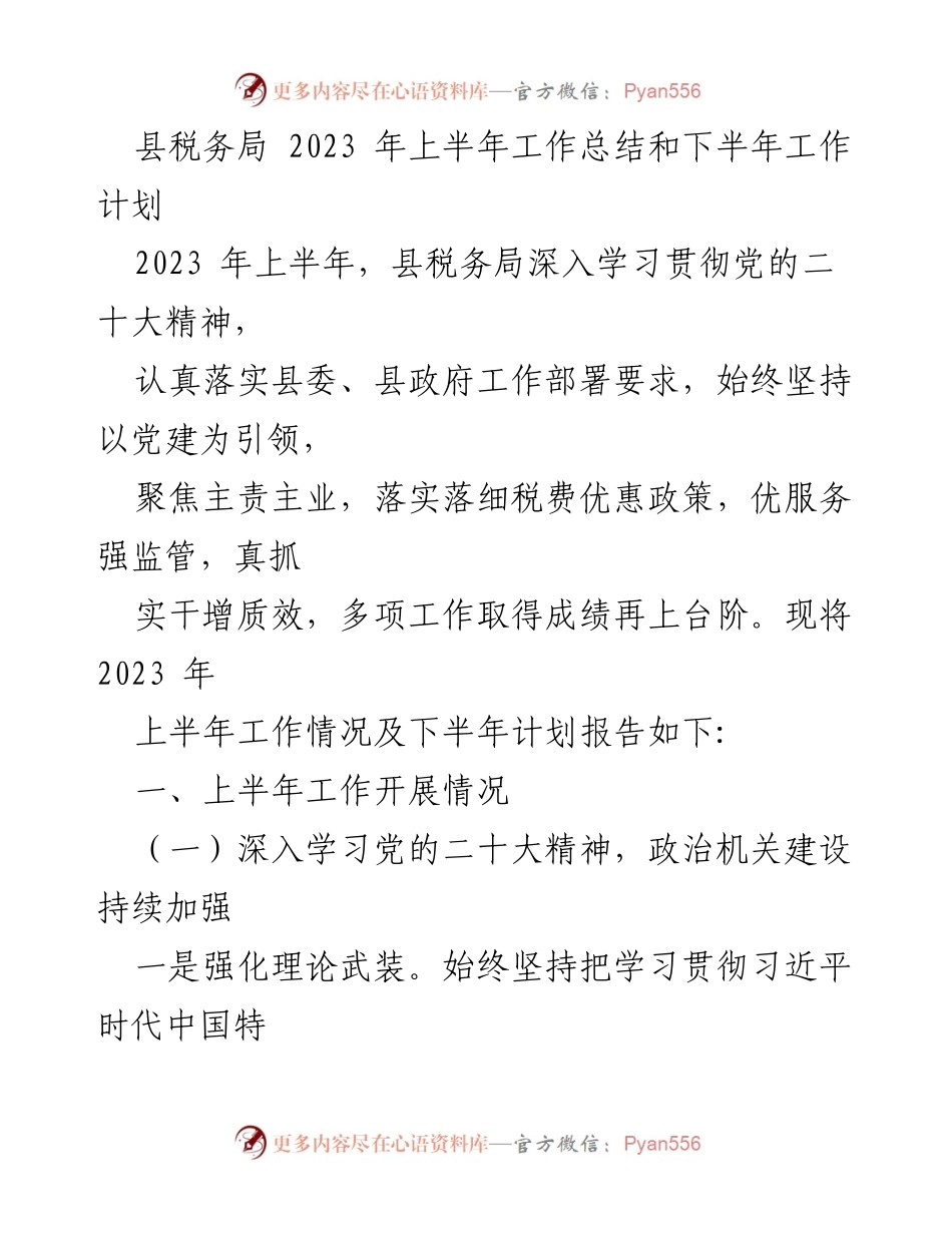 [工作总结] 税务局 - 2023年上半年工作总结与下半年工作计划_1.docx_第1页
