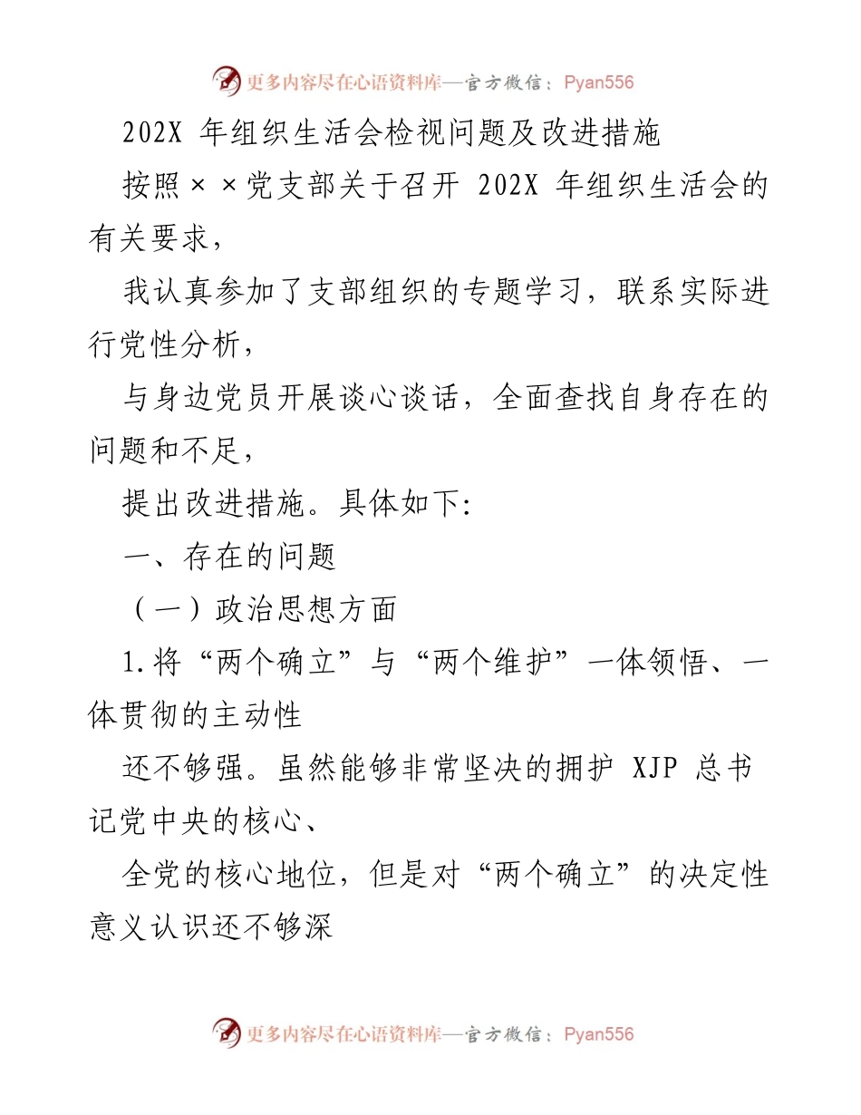 [工作总结] 组织生活会 - 202X年组织生活会问题检视与改进措施.docx_第1页