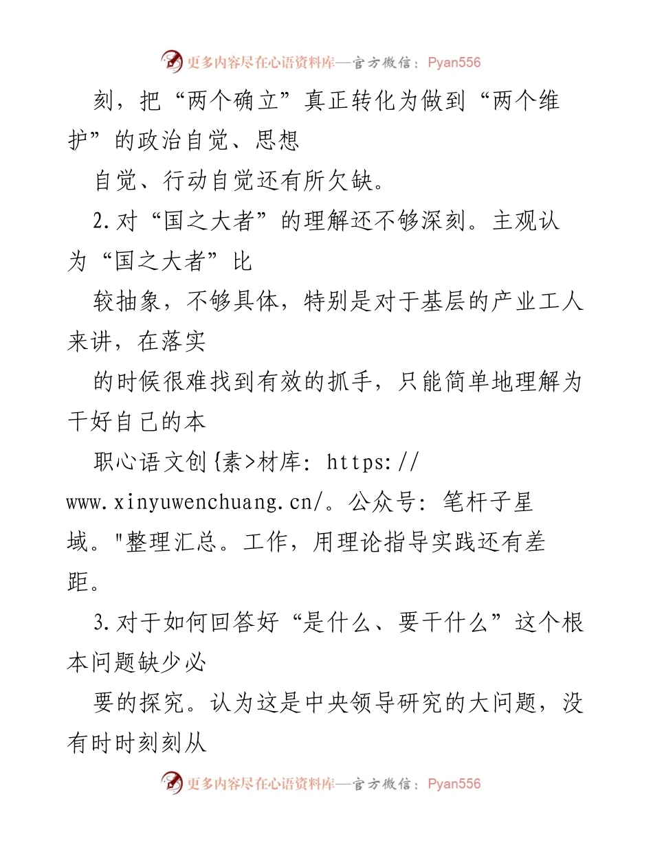 [工作总结] 组织生活会 - 202X年组织生活会问题检视与改进措施.docx_第2页