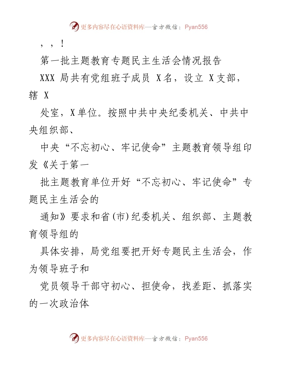 [工作总结] 第一批主题教育专题民主生活会情况报告.docx_第1页