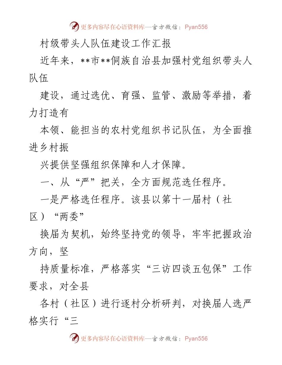 [工作总结] 村级党组织建设 - 村级带头人队伍建设工作汇报.docx_第1页
