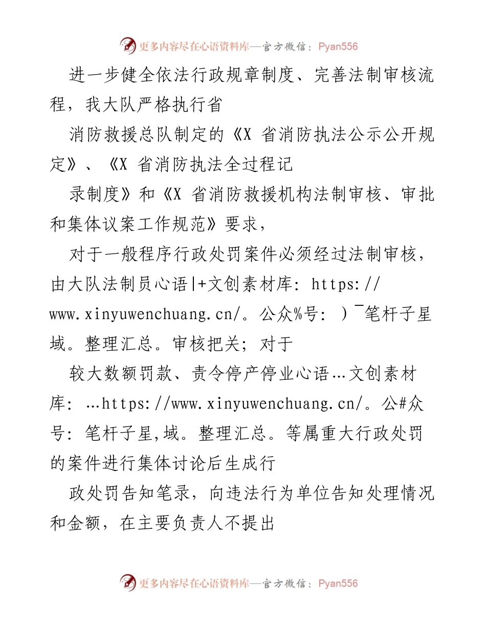 [工作总结] 消防执法 - 加强消防执法规范化建设与法制审核流程完善.docx_第1页