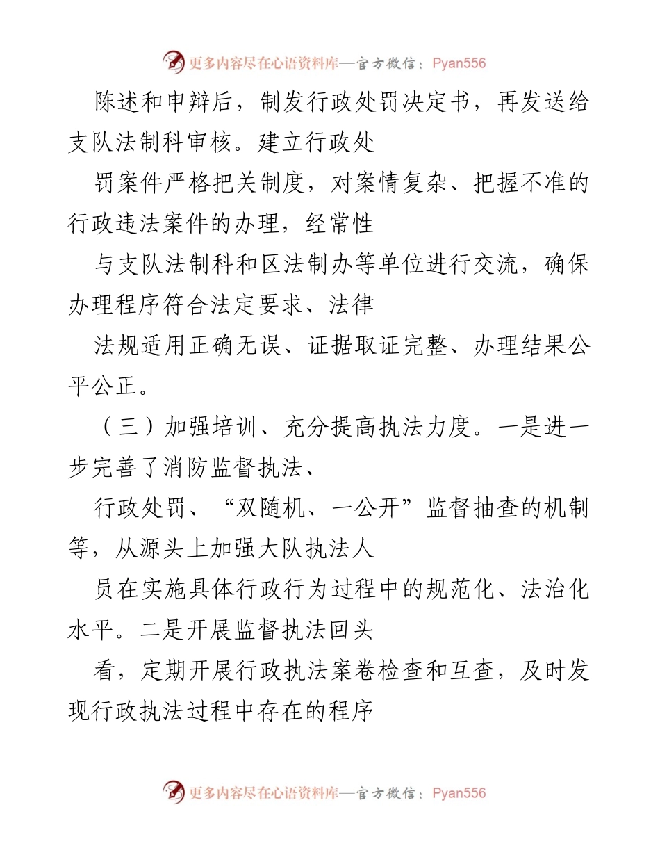 [工作总结] 消防执法 - 加强消防执法规范化建设与法制审核流程完善.docx_第2页