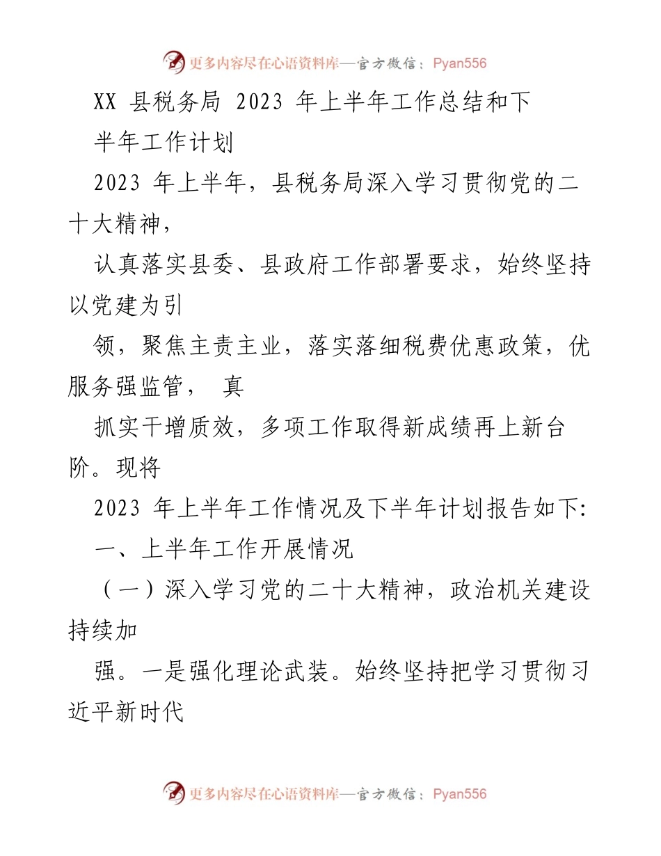 [工作总结] 税务局 - 2023年上半年工作总结与下半年工作计划.docx_第1页