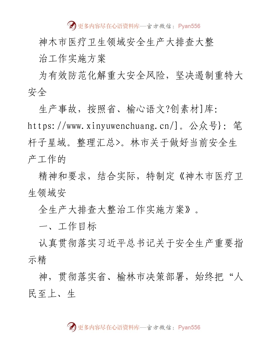 [工作总结] 神木市医疗卫生领域 - 神木市医疗卫生领域安全生产大排查大整治工作实施方案.docx_第1页