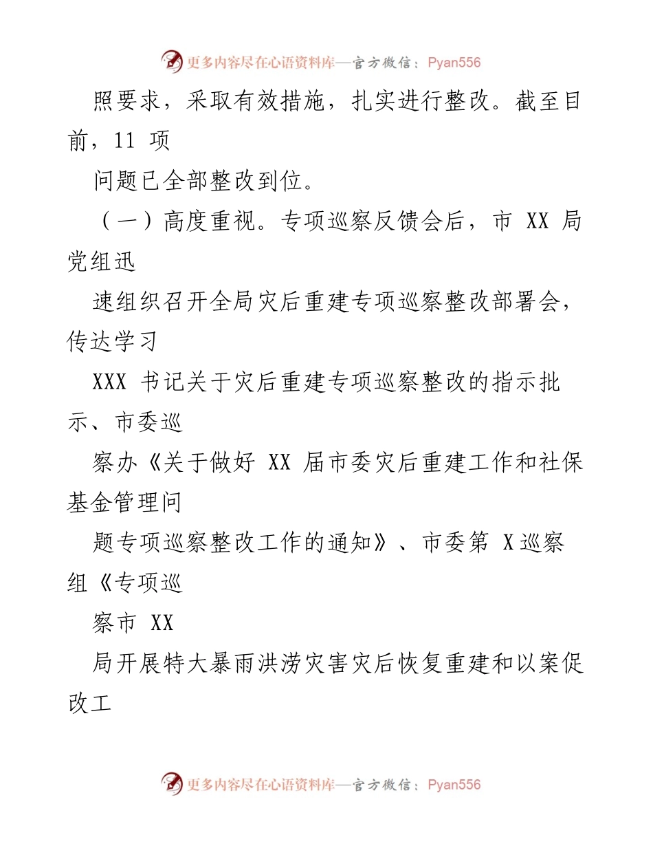 [工作总结] 灾后恢复 - 市XX局灾后重建专项巡察整改情况报告.docx_第2页