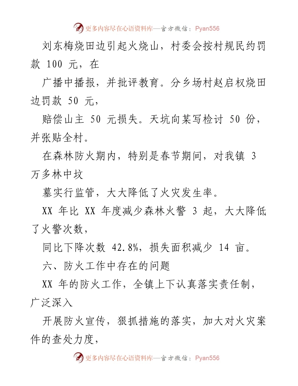 [工作总结] 森林防火工作 - XX镇森林防火工作总结及改进措施.docx_第2页