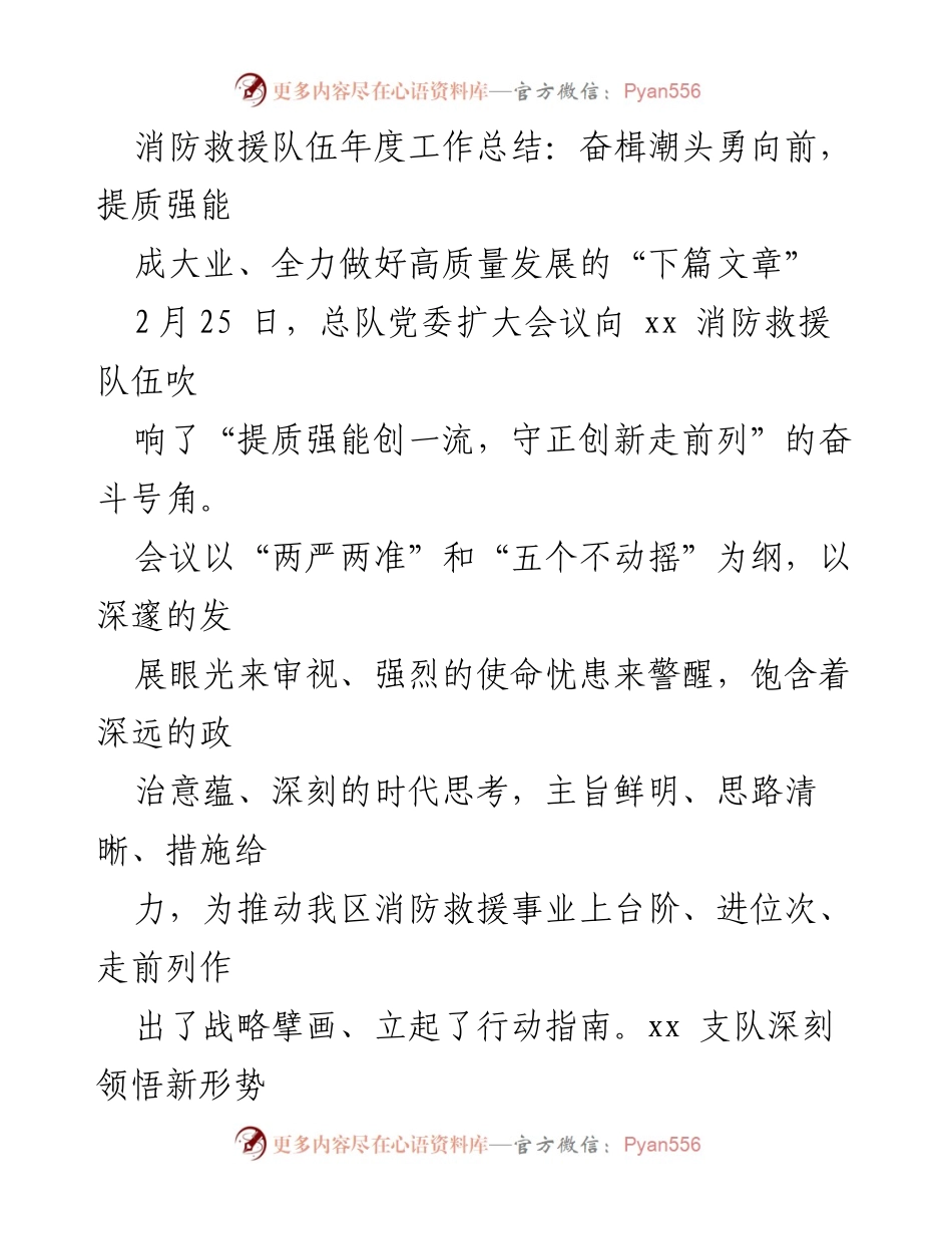 [工作总结] 消防救援队伍年度总结会议 - 提质强能，奋楫潮头：消防救援队伍年度工作总结.docx_第1页