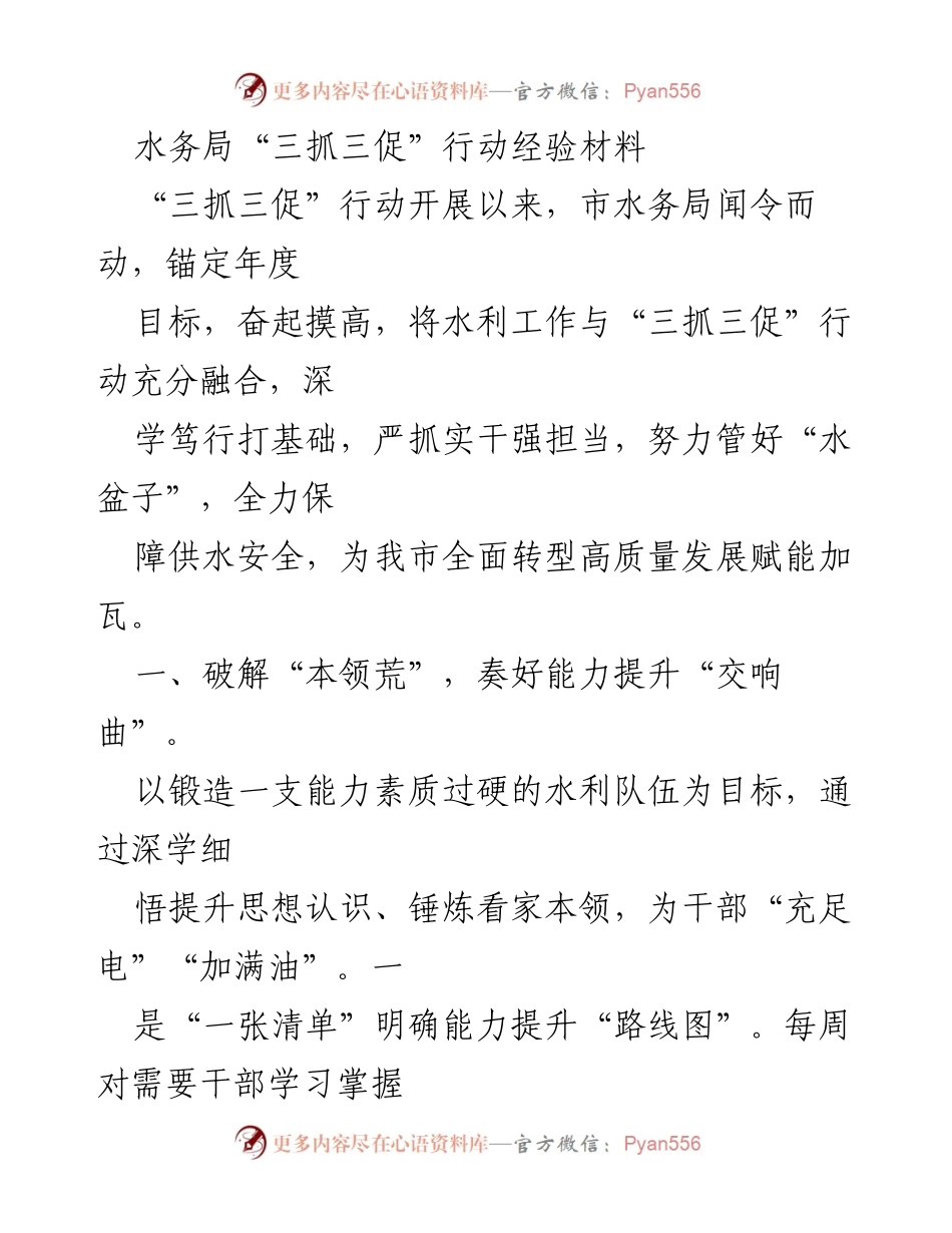 [工作总结] 水务局 - 水务局“三抓三促”行动经验总结与实施成效_1.docx_第1页
