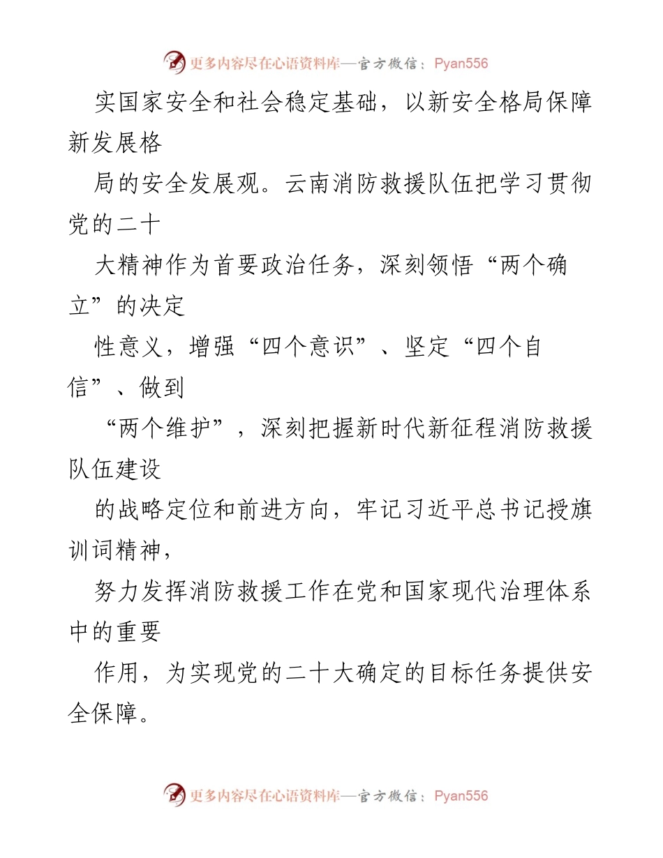 [工作总结] 消防救援工作 - 深入思考新时代消防救援工作的战略定位与发展方向.docx_第2页