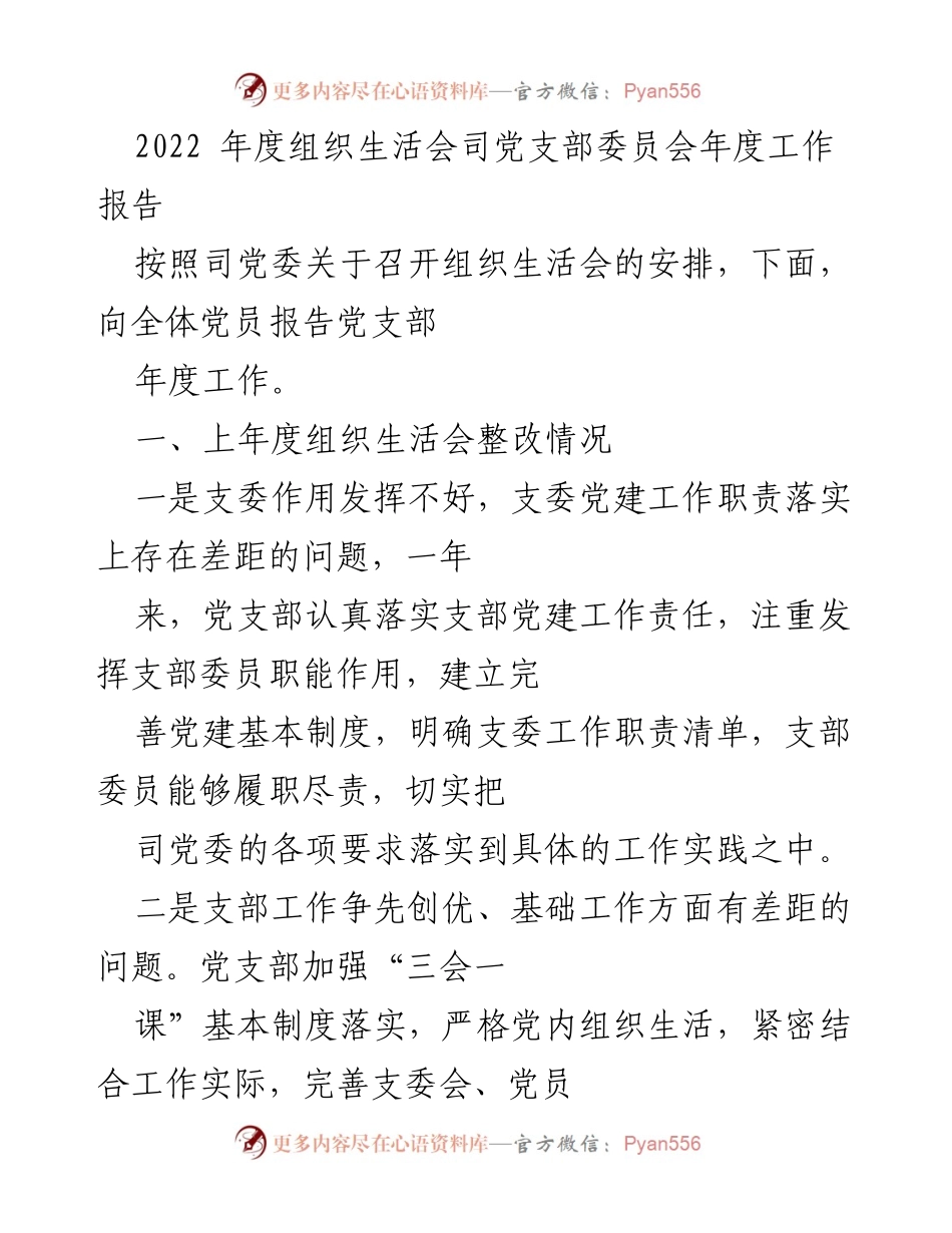 [工作总结] 组织生活会 - 2022年度党支部工作报告与问题整改情况总结.docx_第1页