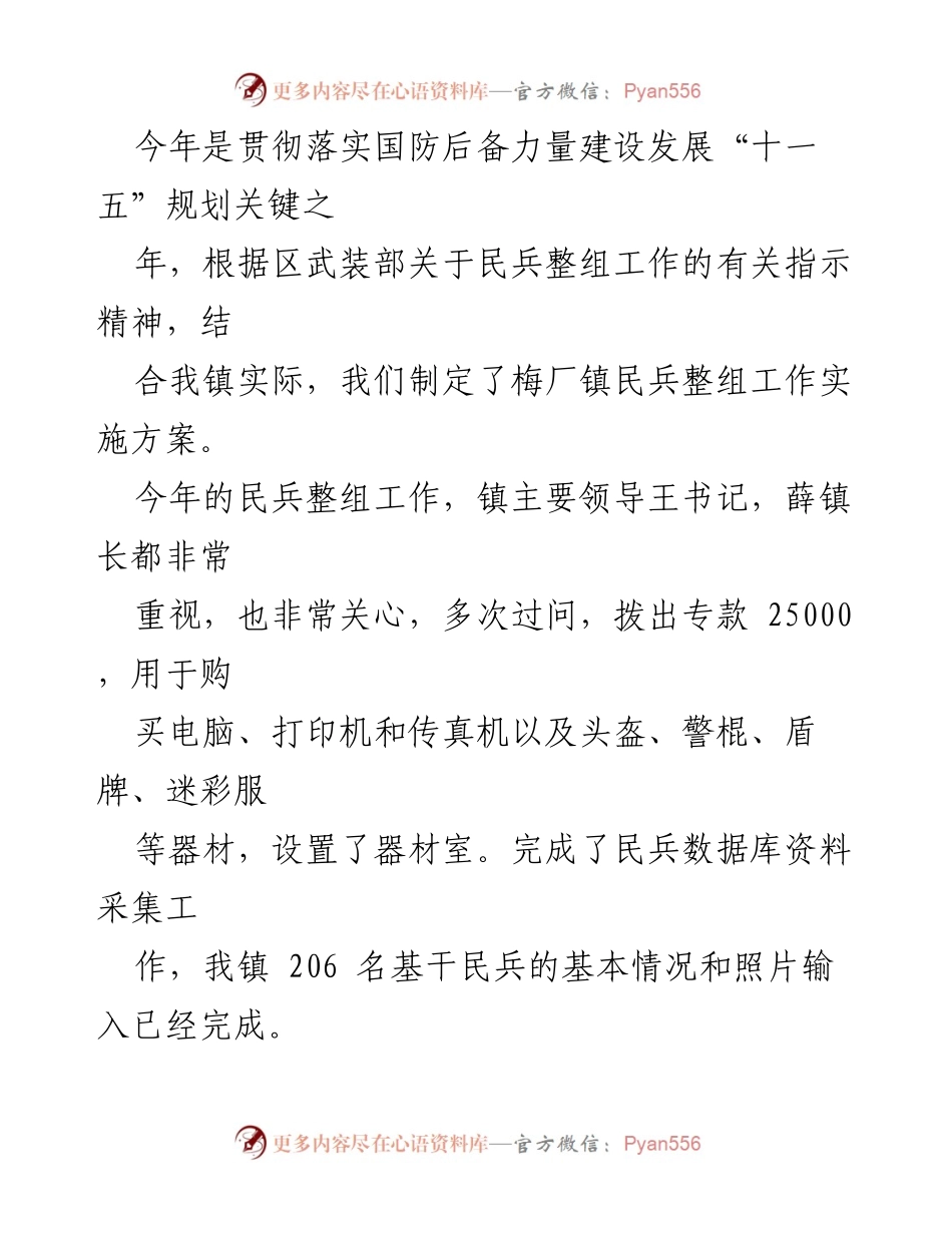 [工作总结] 民兵训练实施 - 梅厂镇民兵整组工作实施方案总结.docx_第2页