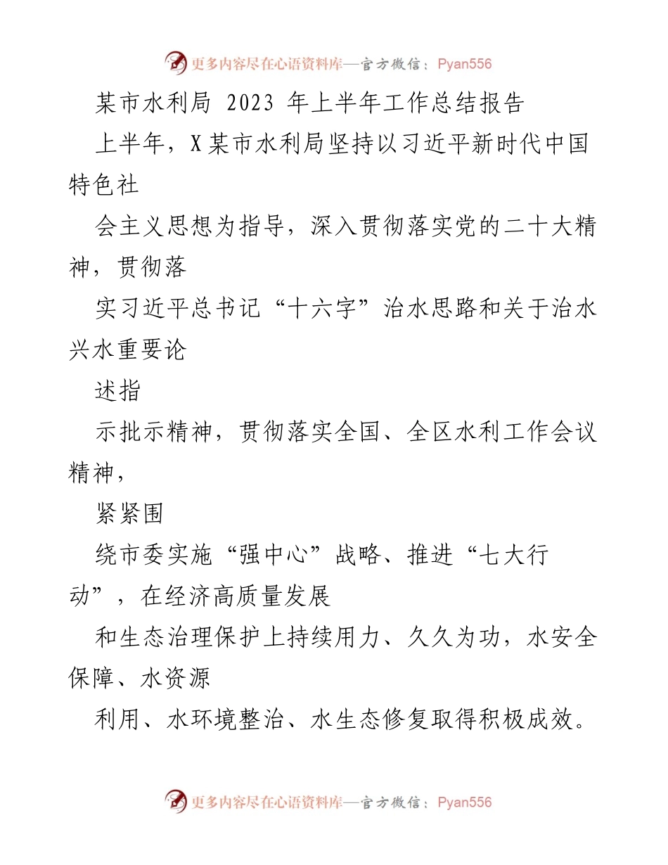 [工作总结] 水利局 - 2023年上半年水利工作总结报告_1.docx_第1页
