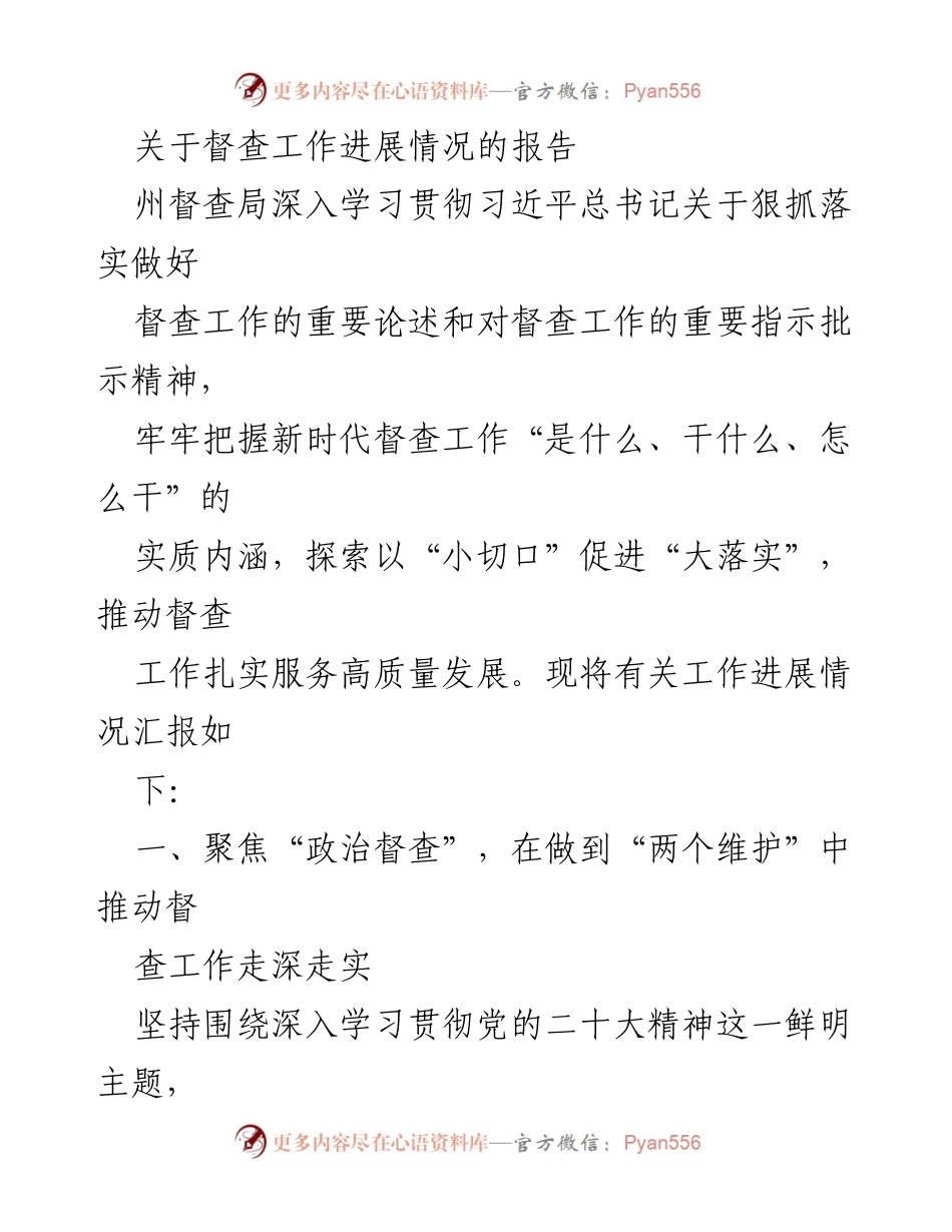 [工作总结] 督查工作 - 督查工作进展情况汇报.docx_第1页