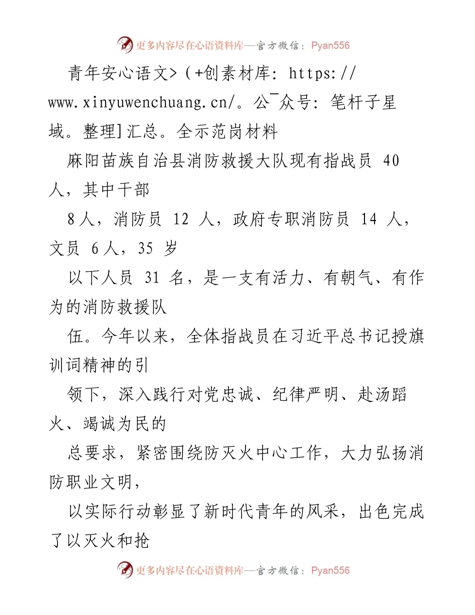 [工作总结] 消防救援 - 青年消防员在安全示范岗的贡献与成就.docx_第1页