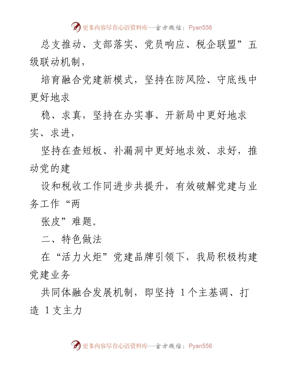 [工作总结] 税务局 - 打造“活力火炬”党建业务共同体的探索与实践.docx_第2页
