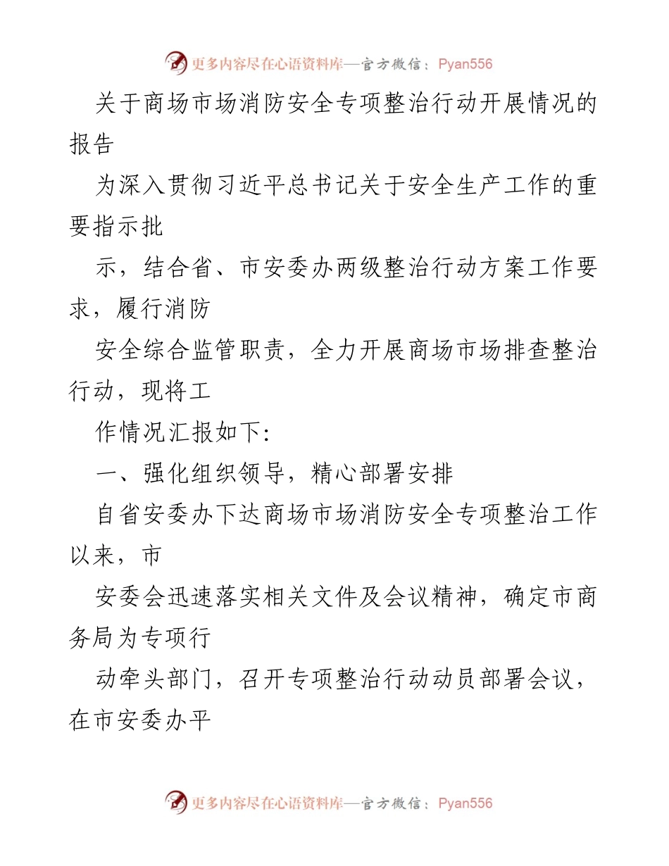 [工作总结] 消防安全专项整治 - 商场市场消防安全专项整治行动开展情况报告.docx_第1页