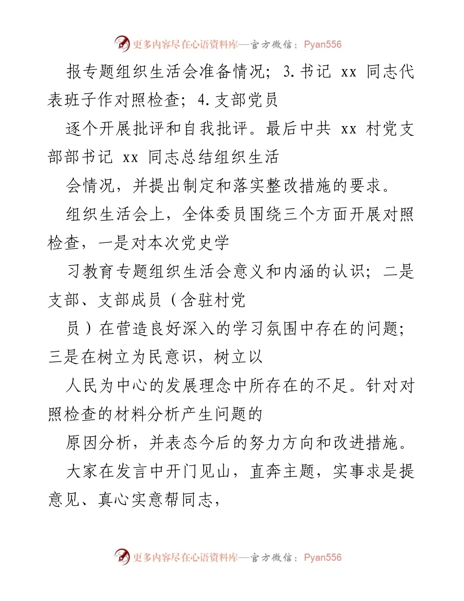 [工作总结] 村级党史学习教育 - 村党支部专题组织生活会情况报告.docx_第2页