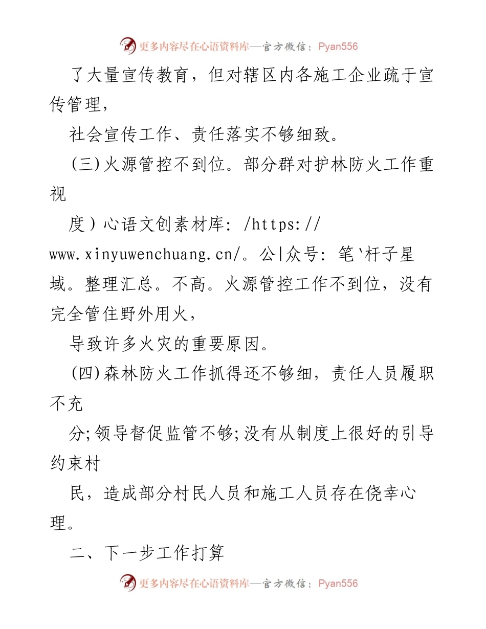 [工作总结] 森林草原防灭火 - 反思与整改：提升森林草原防灭火工作成效的总结与展望.docx_第2页