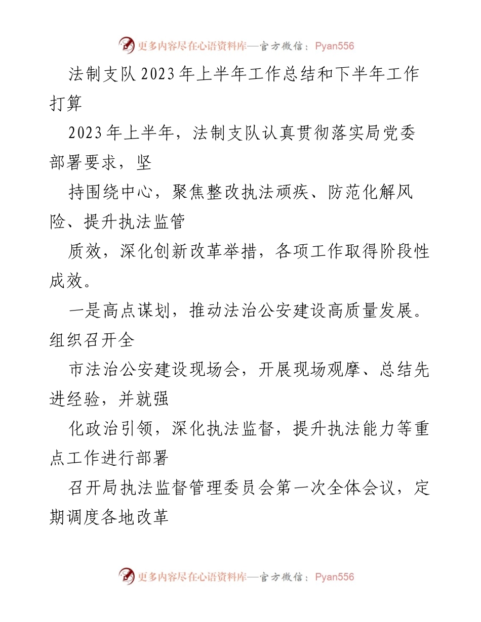 [工作总结] 法制支队 - 2023年上半年工作总结及下半年工作计划.docx_第1页