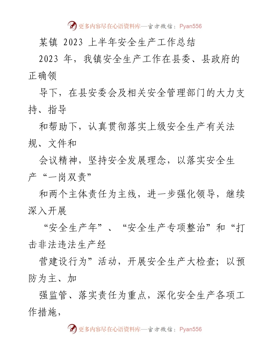 [工作总结] 某镇 - 2023年上半年安全生产工作总结.docx_第1页