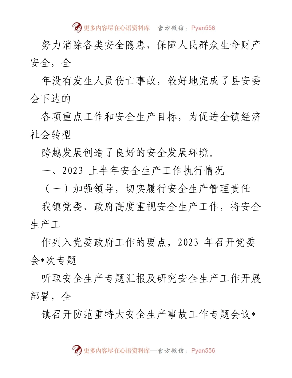 [工作总结] 某镇 - 2023年上半年安全生产工作总结.docx_第2页