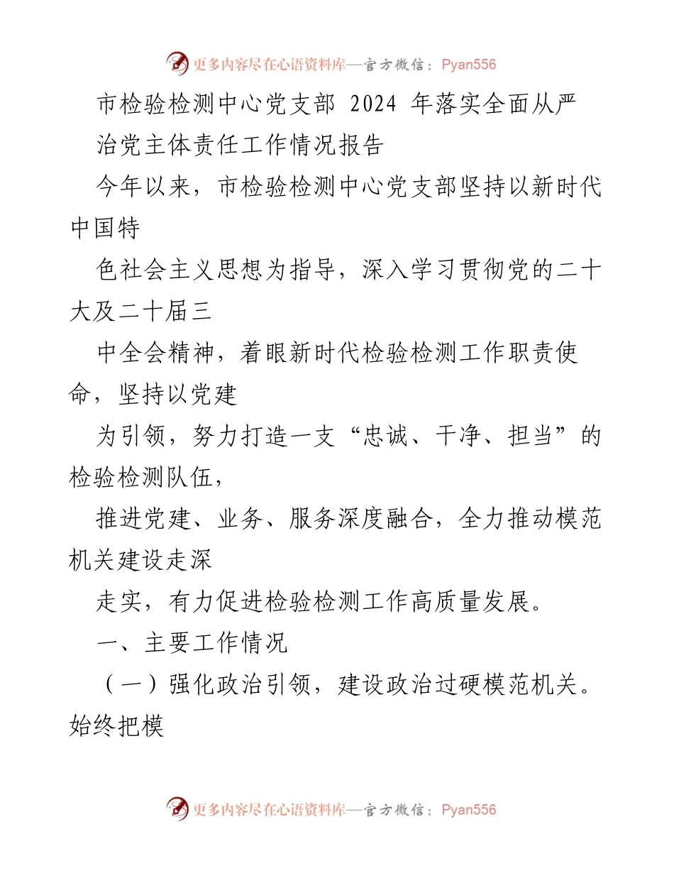 [工作总结] 检验检测中心党支部 - 2024年全面从严治党主体责任落实工作情况报告.docx_第1页