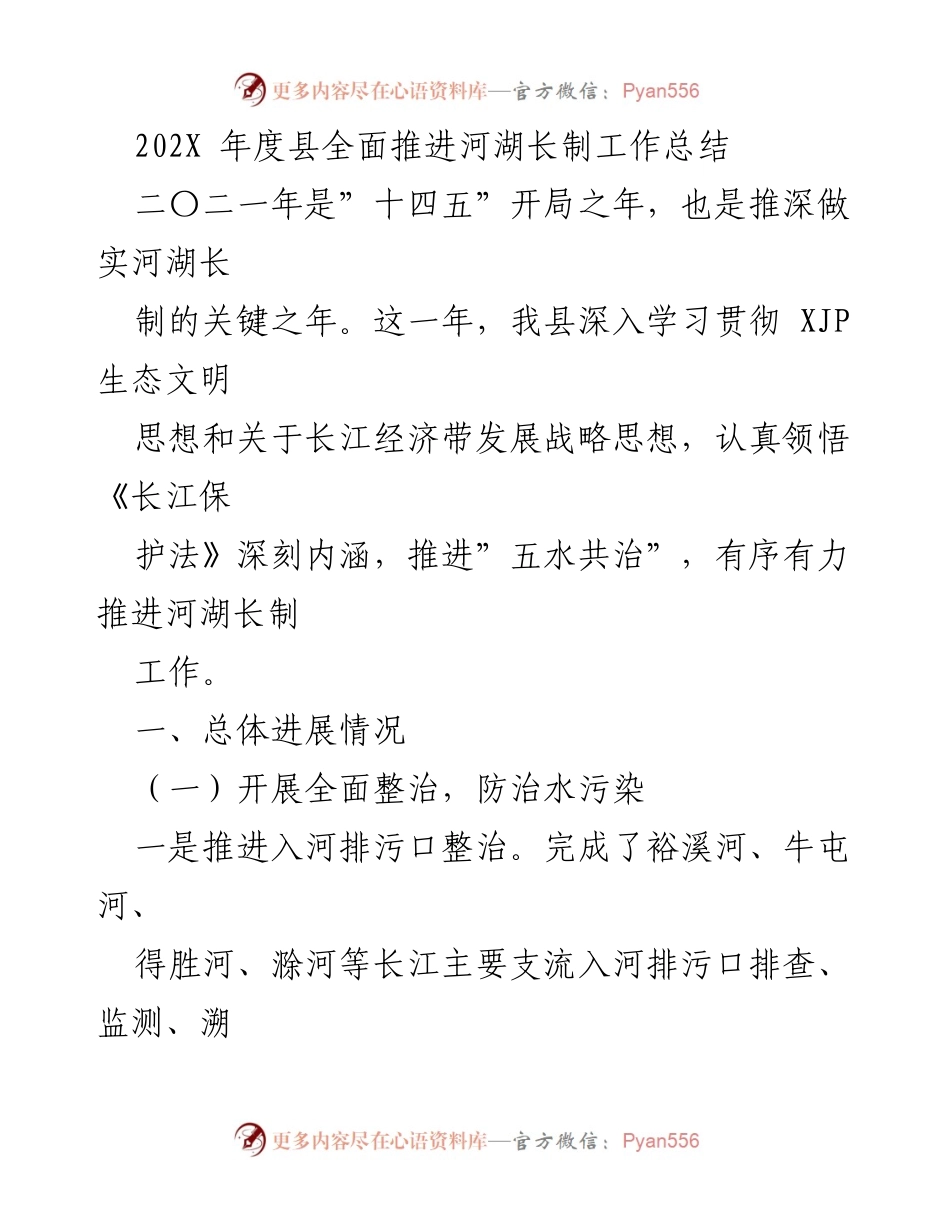 [工作总结] 河湖长制工作 - 202X年度河湖长制工作推进总结.docx_第1页