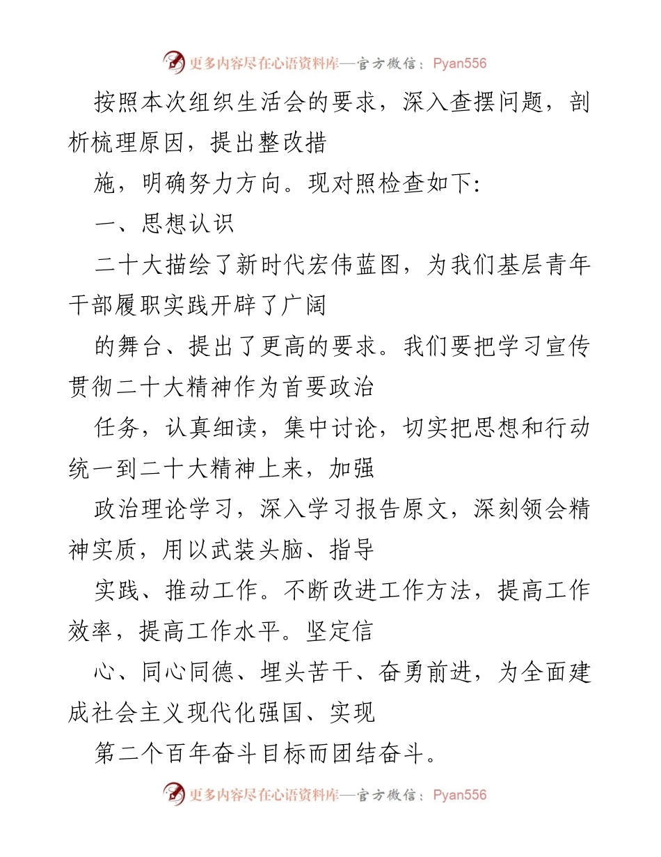 [工作总结] 组织生活会 - 深入查摆问题与整改措施总结.docx_第1页