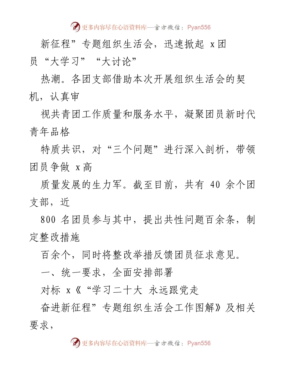 [工作总结] 组织生活会 - 2022年共青团组织生活会开展情况总结报告.docx_第2页
