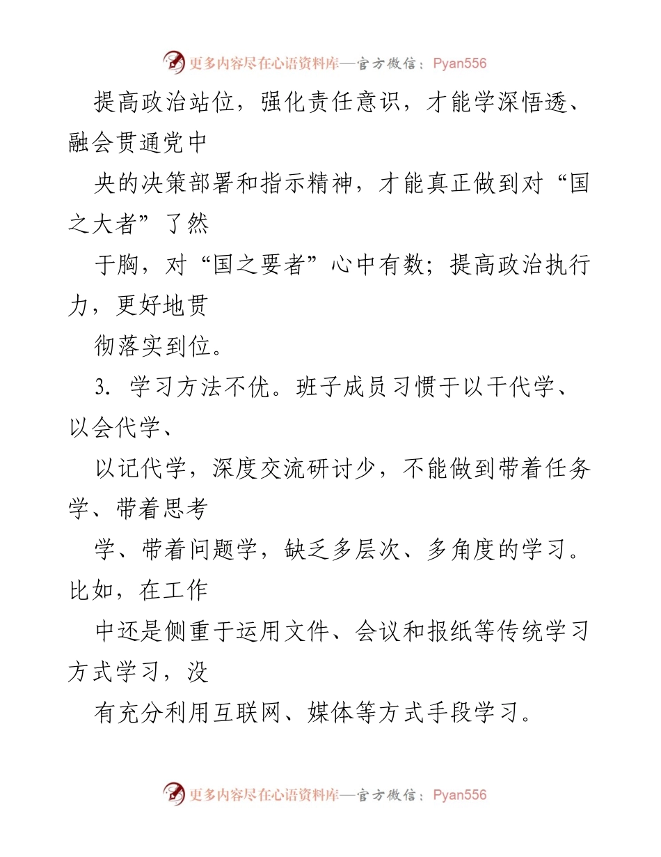 [工作总结] 领导班子检视 - 班子成员对照检查与问题剖析总结.docx_第2页