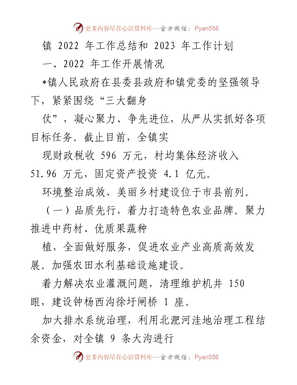 [工作总结] 镇政府 - 2022年工作总结与2023年工作计划概述.docx_第1页